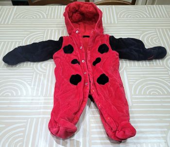 Combipilote coccinelle 🐞 