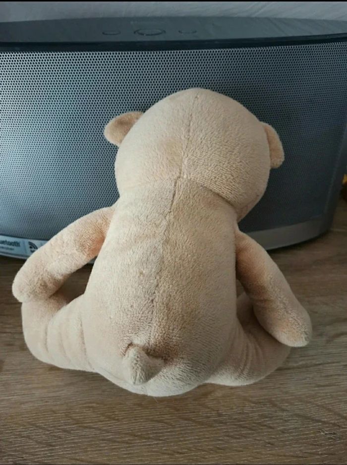 nounours - photo numéro 3