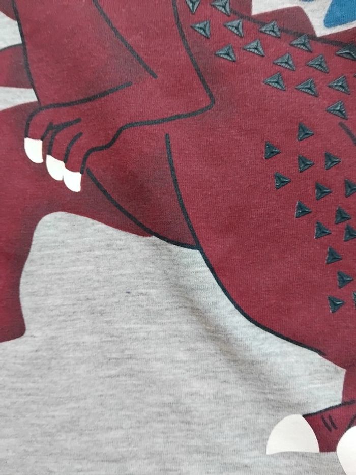 Tee-shirt Dinosaure ,manches longues, c&à, 7 ans - photo numéro 3
