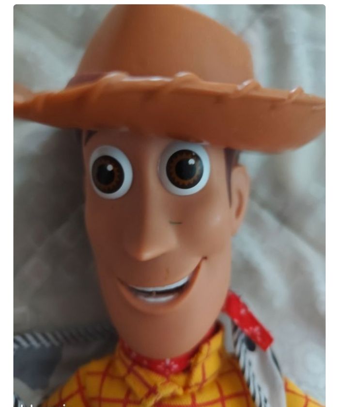 Woody parlant toy's stories - photo numéro 9