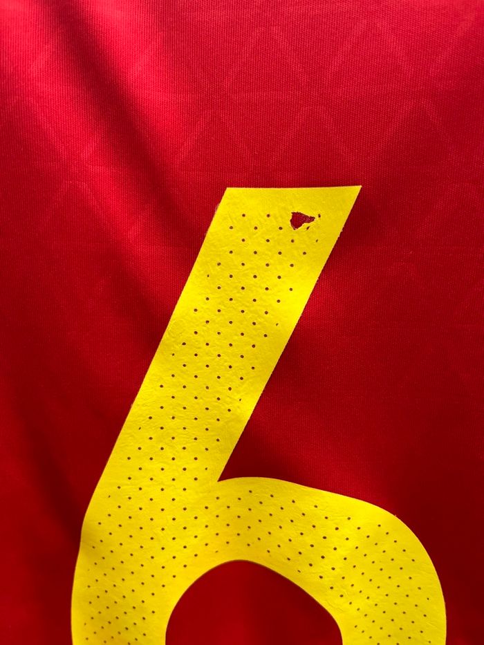 Maillot iniesta Espagne - photo numéro 6