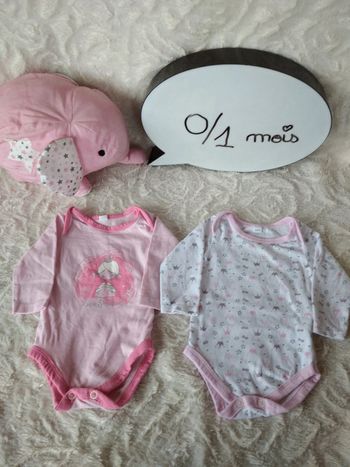 Lot de 2 bodies manches longues Fille 0/1 mois Princesse couronne Little Princess coton bio