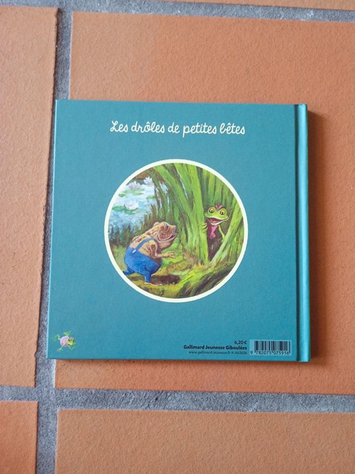 Juliette la rainette collection les drôles de petites bêtes - photo numéro 2