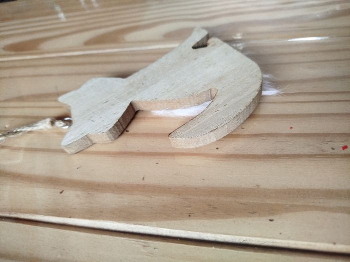 Renard - photo numéro 3