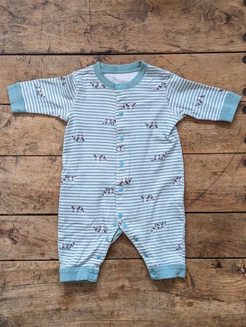 Pyjama bébé - Rayé bleu et blanc - Motif ratons laveurs