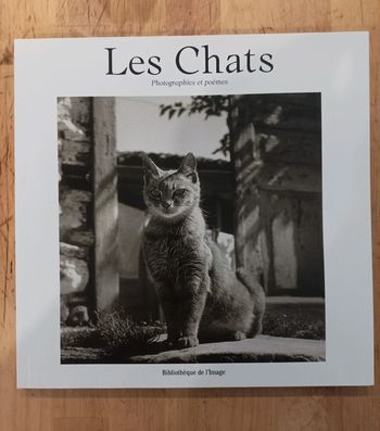Les chats photographie et poèmes