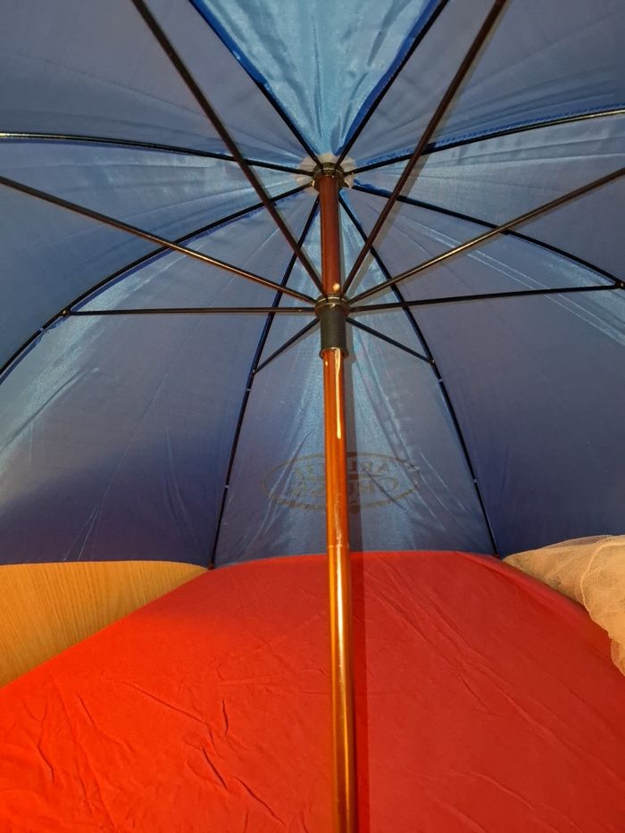 Grand parapluie Arlette Gruss souvenir - photo numéro 5