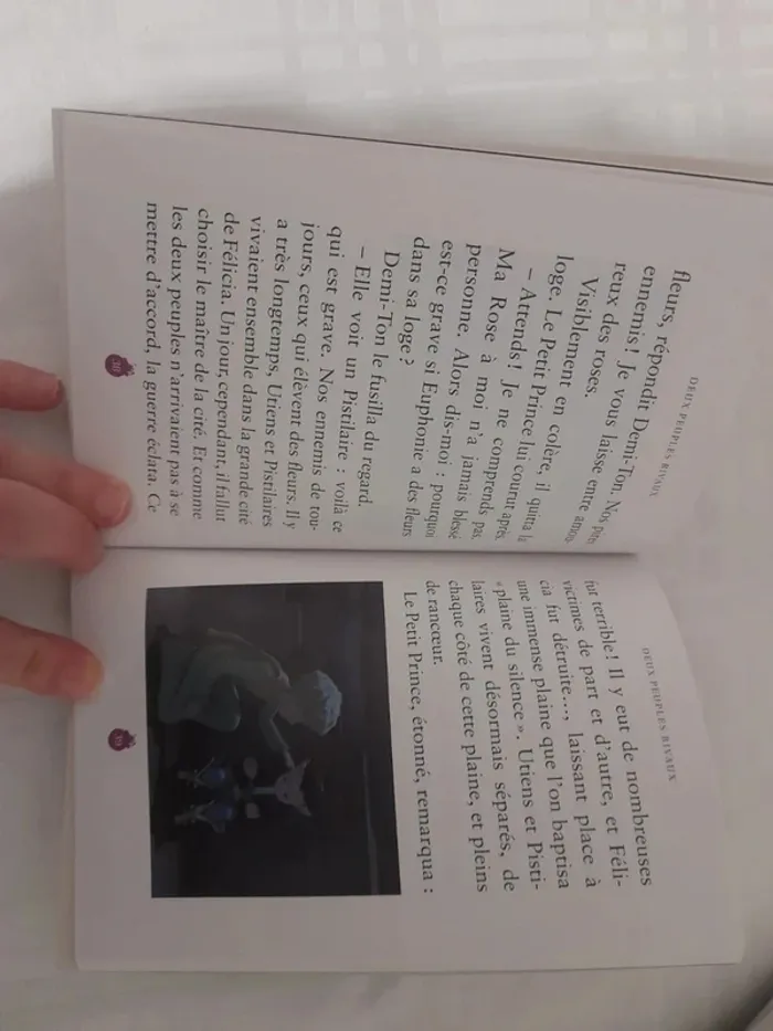 Lot de 5 livres le petit prince à partir de 8ans négociable - photo numéro 17