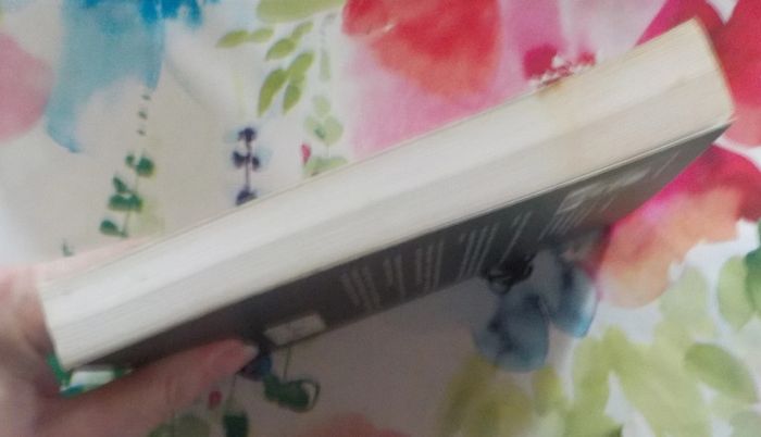 Une enquête de Mary Lester n°20 Forces noires de Jean Failler - photo numéro 4