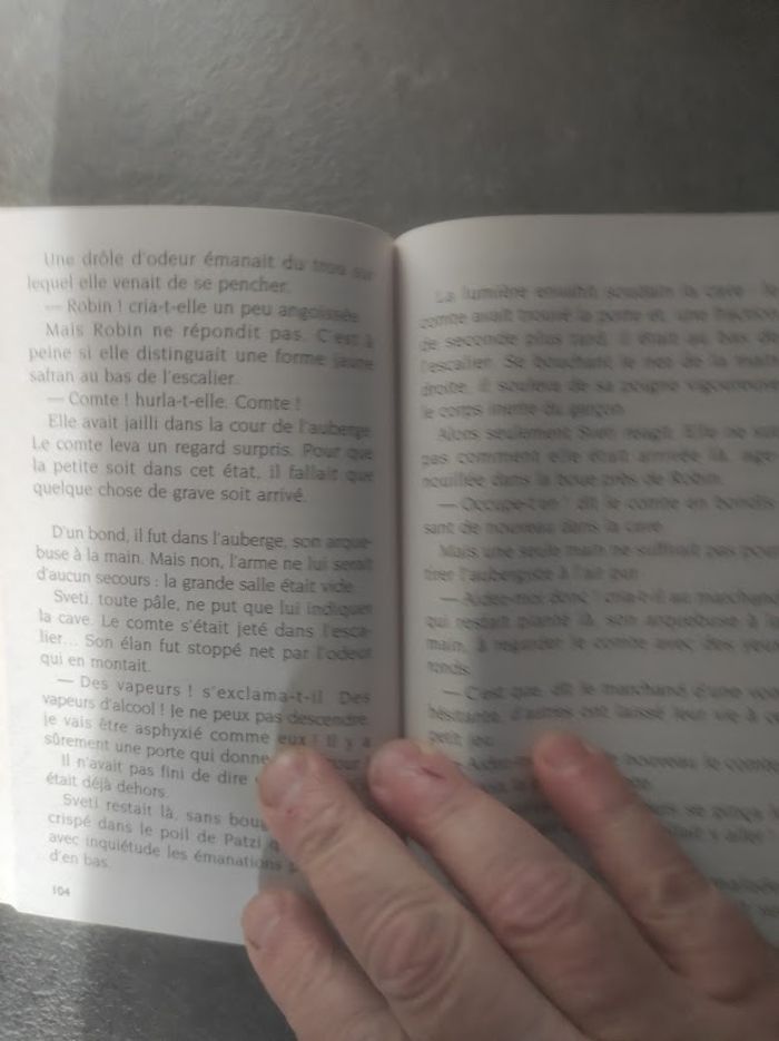 L'étrange chanson de Sveti Evelyne Brisou-Pellen Castor Poche Flammarion 2010 - photo numéro 4