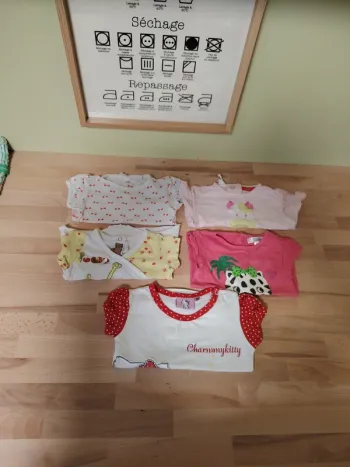 Lot de 5 t shirt manche courte