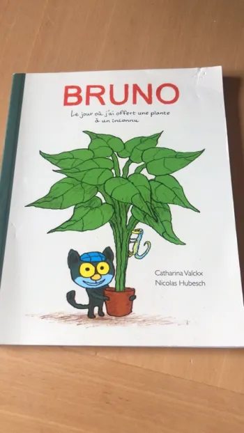 Livre enfant