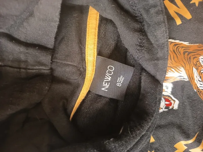 Pull a capuche - photo numéro 2