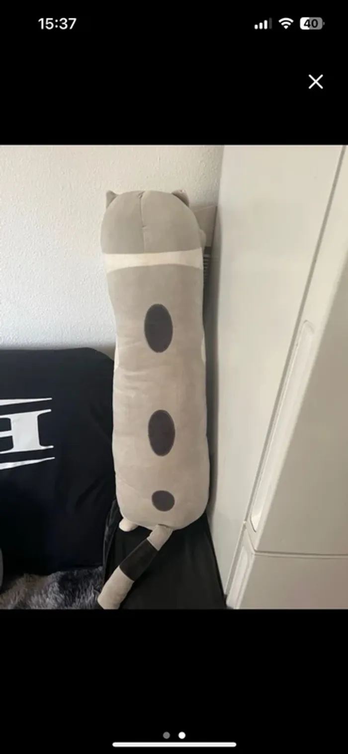 Peluche - photo numéro 2