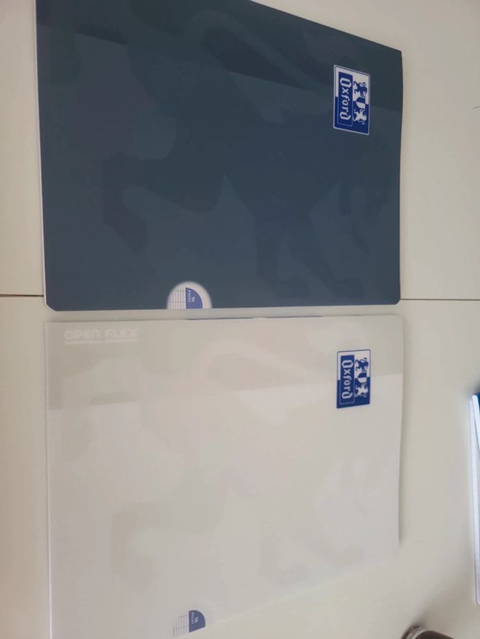 Lot 2 cahiers oxford open flex 24x32