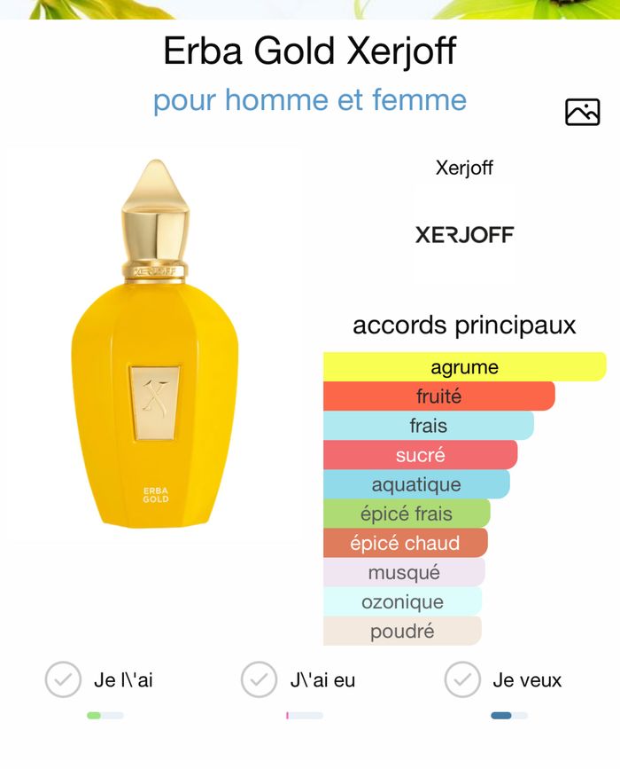 Xerjoff erba gold eau de parfum 100ml - photo numéro 4