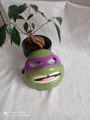 Masque tortues ninja violet / donatelo