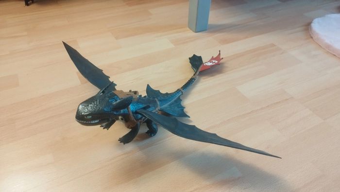 Dragon - photo numéro 2