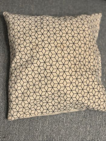 Lot 3 petits coussins