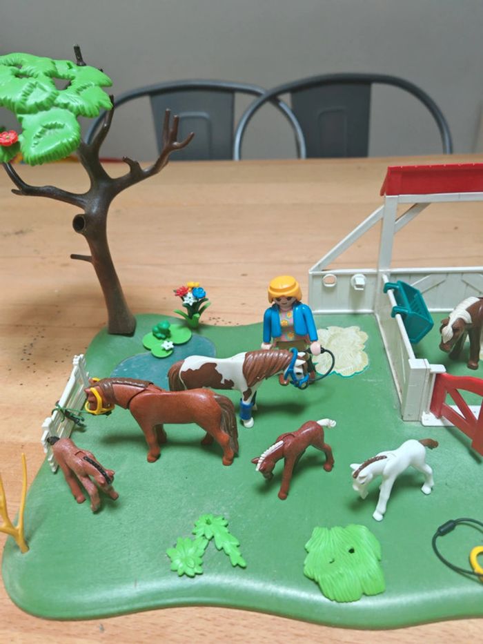 Ensemble playmobil cheval chevaux poulains - photo numéro 2