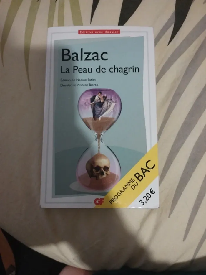 Livre la peau de chagrin - photo numéro 2