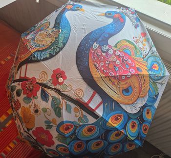 Parapluie anti pluie et anti UV 2 paons