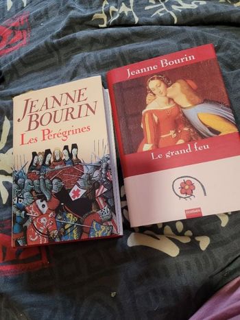 Romans de Jeanne Bourin