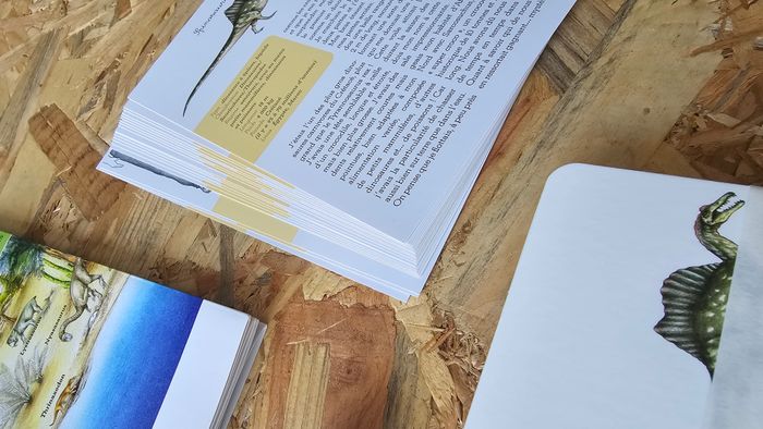 Mon coffret Montessori Dinosaures - photo numéro 7