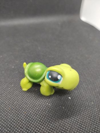 Littlest Petshop LPS tortue turtle 187 hasbro #geektradelpstortue