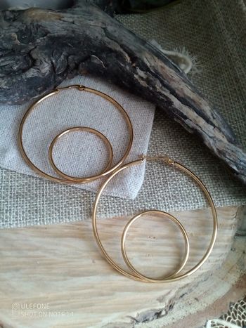 Créoles double cercle dorées