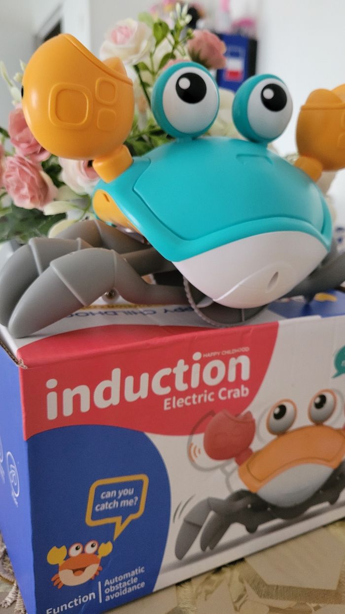 Crabe qui bouge et danse - photo numéro 3