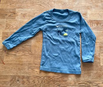 Tee-shirt dinos 18 mois