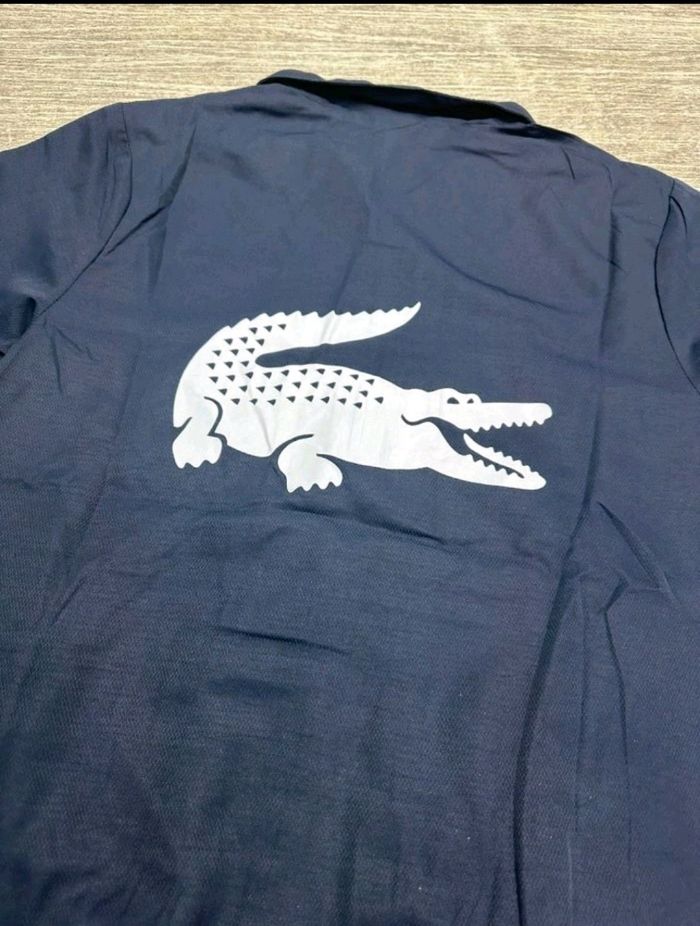 Ensemble lacoste - photo numéro 2