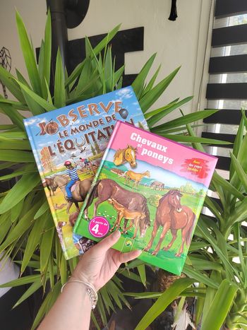 Lot de 2 livres sur les  chevaux pour enfant
