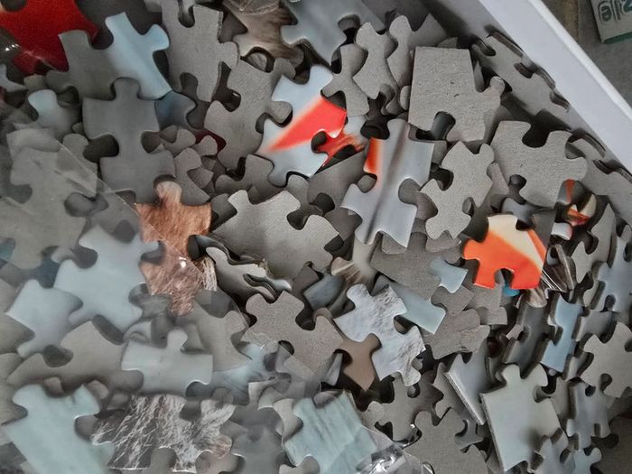 Puzzle chat 500 pièces - photo numéro 3