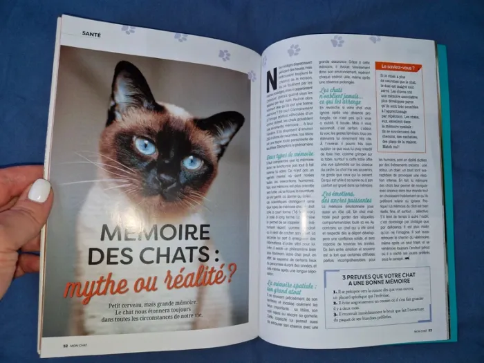Livre "Mon chat 🐱 " - photo numéro 3