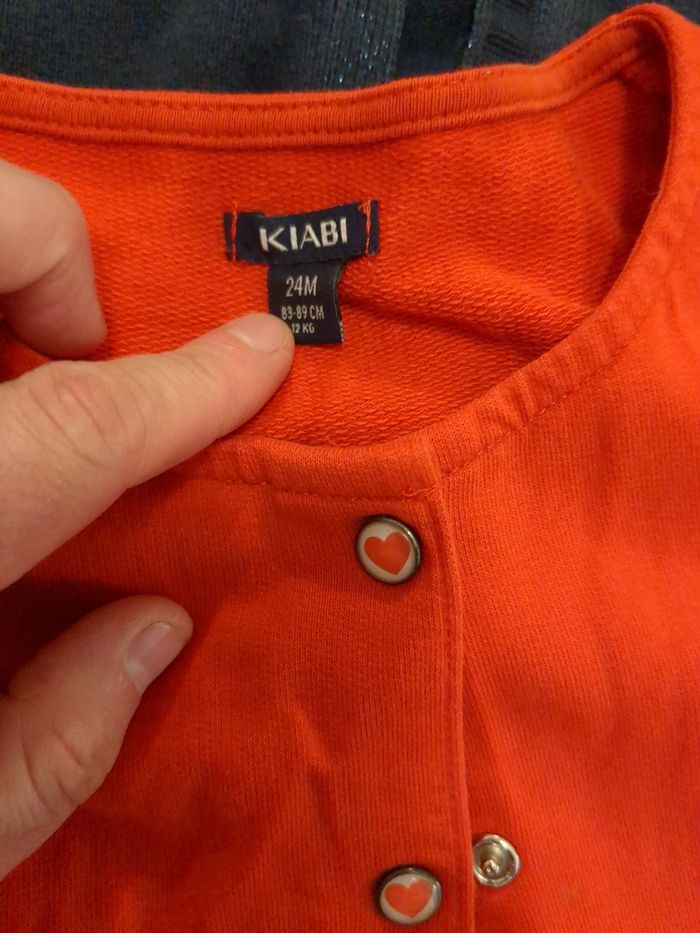 Lot 2 gilets - photo numéro 2