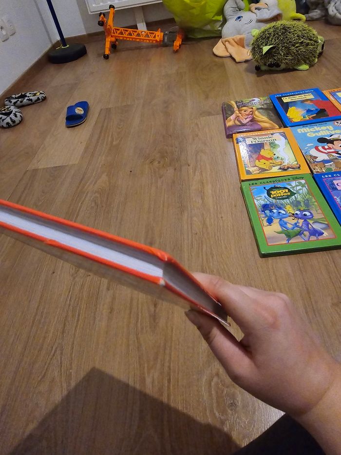Livre disney - photo numéro 3