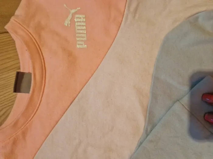 Sweet puma - photo numéro 2
