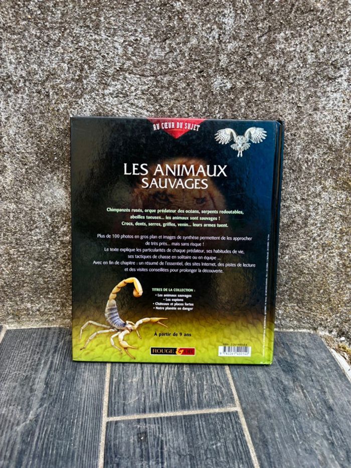 Livre Les Animaux Sauvage pour Enfants à partir de 9 ans - photo numéro 2