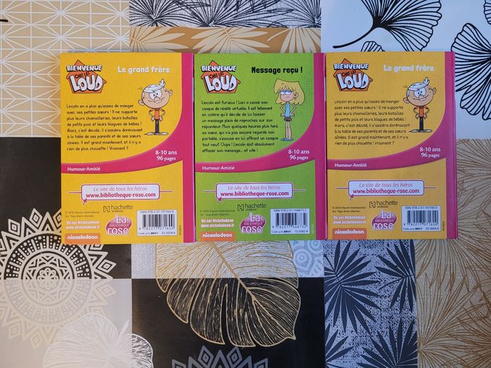 Livres bienvenue chez les loud - photo numéro 2