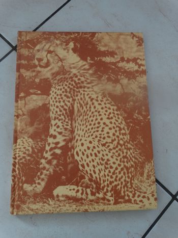 Livre les grands fauves