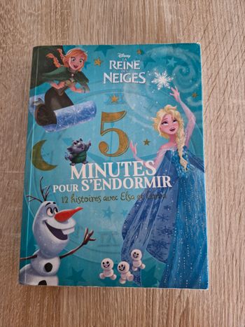 Livre reine des neiges