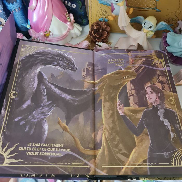 Livre Fourth wing Rebecca Yarros tome 1 - photo numéro 5