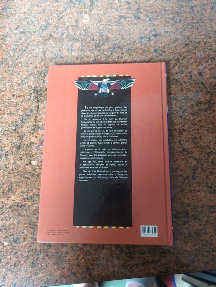 Livre '' Le roi soleil de l'Égypte '' - photo numéro 2