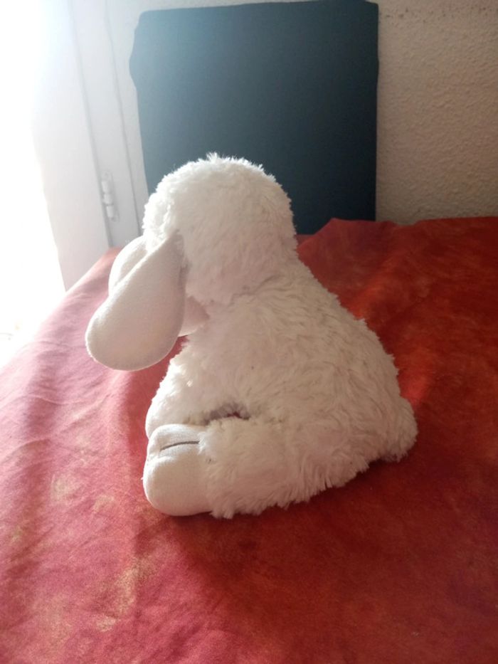 Mouton blanc Nicotoy - photo numéro 2