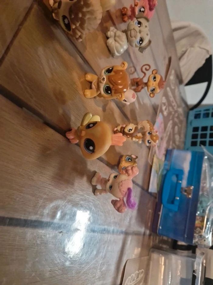 Lot petshop - photo numéro 3