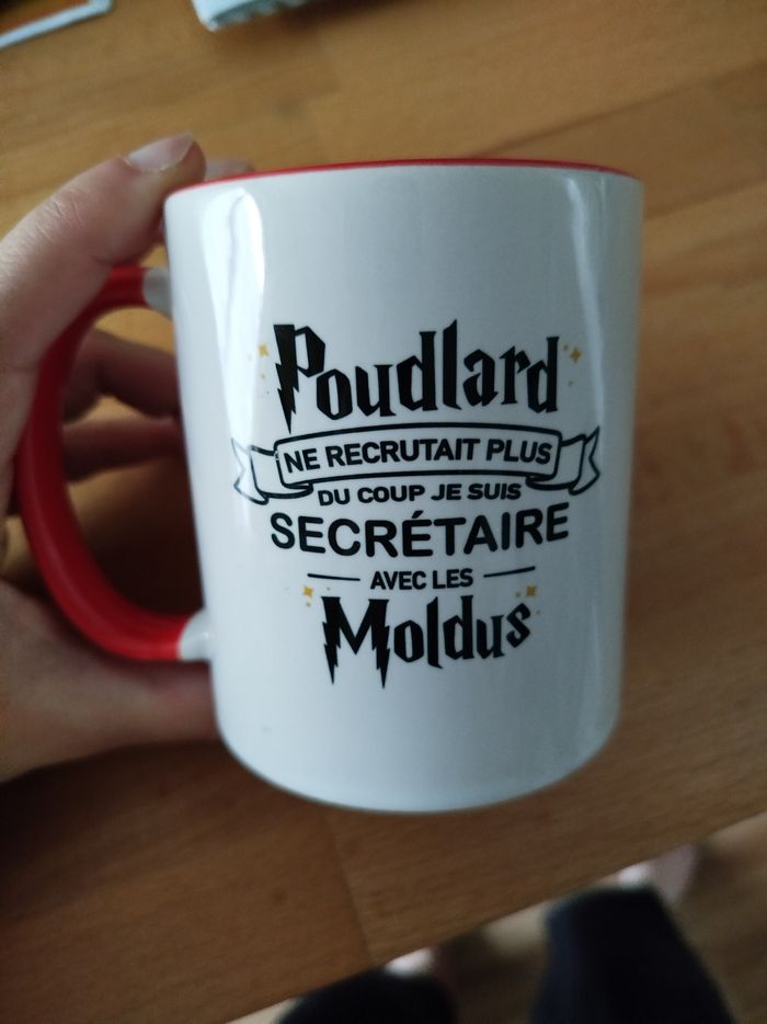 Mug tasse Poudlard ne le recrutait plus du coup je suis secrétaire avec les moldus - photo numéro 2
