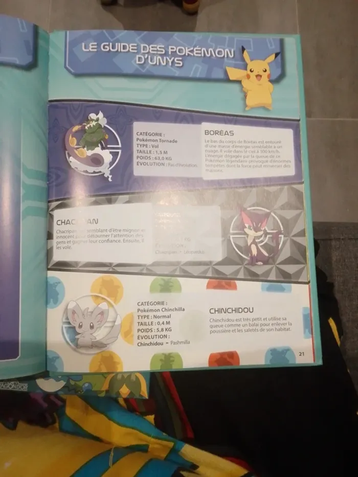 Livre enfant - Cherche et Trouve - Pokémon à Unys - photo numéro 6