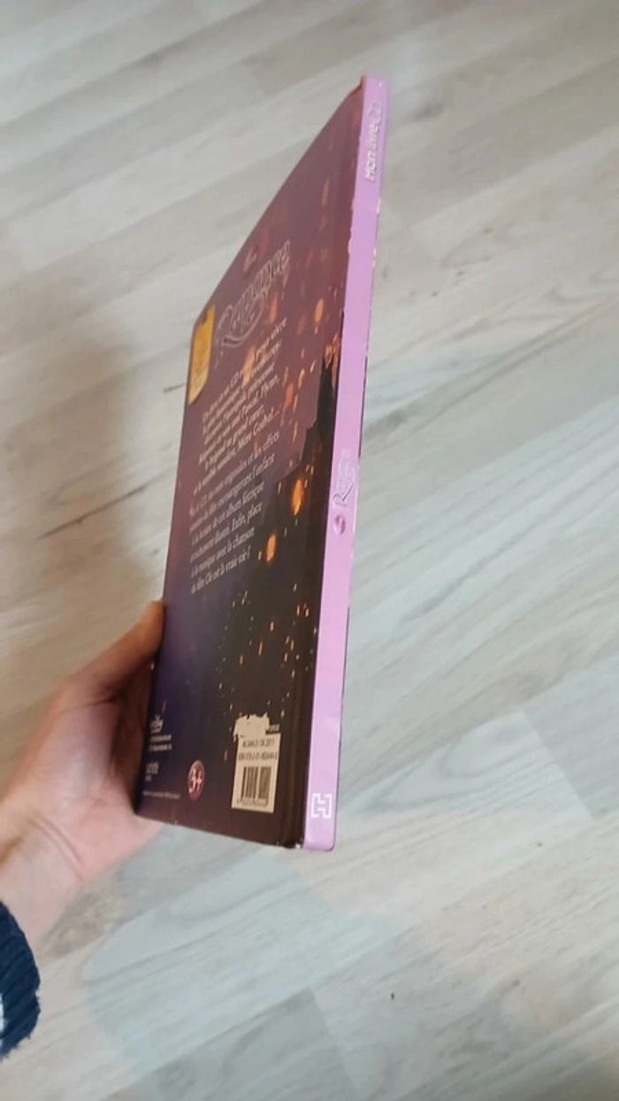 Livre disney Raiponce - photo numéro 3